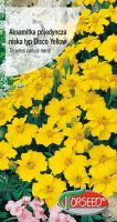 AKSAMITKA POJEDYNCZA NISKA TYP DISCO YELLOW ӣTO-MIODOWA - 1 G